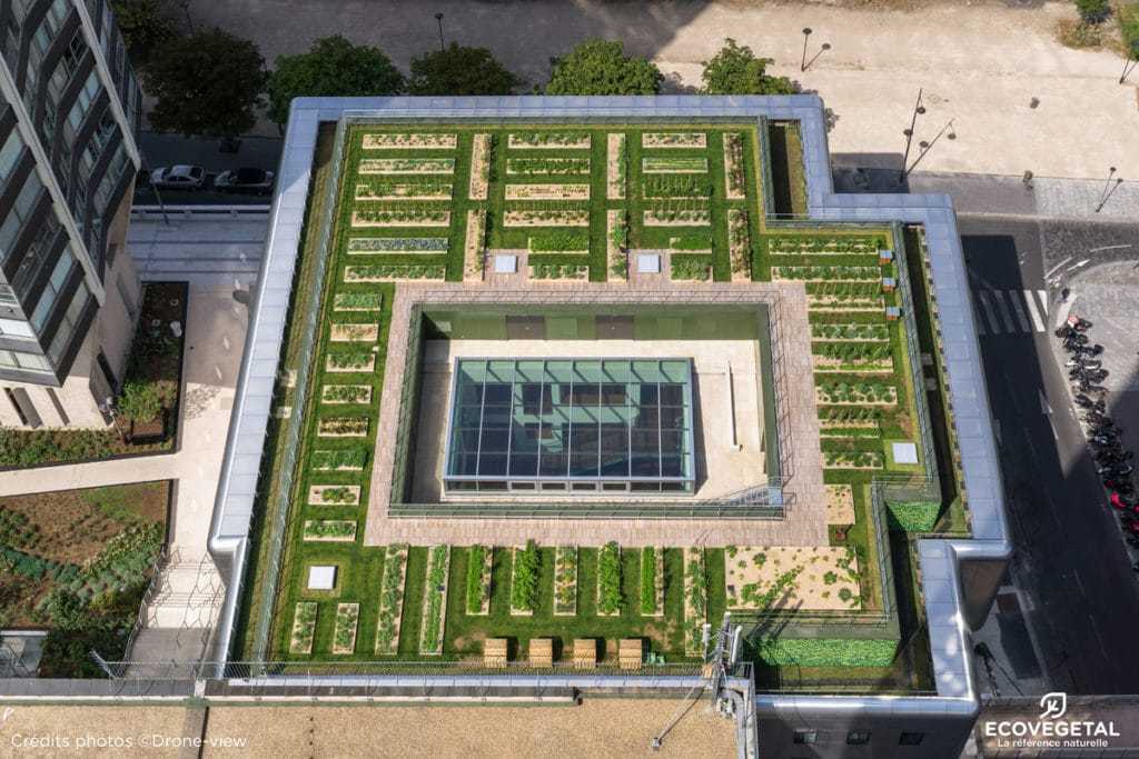 Potager urbain en toiture terrasse végétalisée Le Cordon Bleu Paris