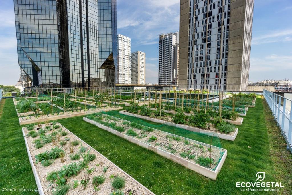 exemple de potager urbain sur toiture végétalisée à Paris