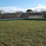 tapis végétalisé sedum sur un toit végétal