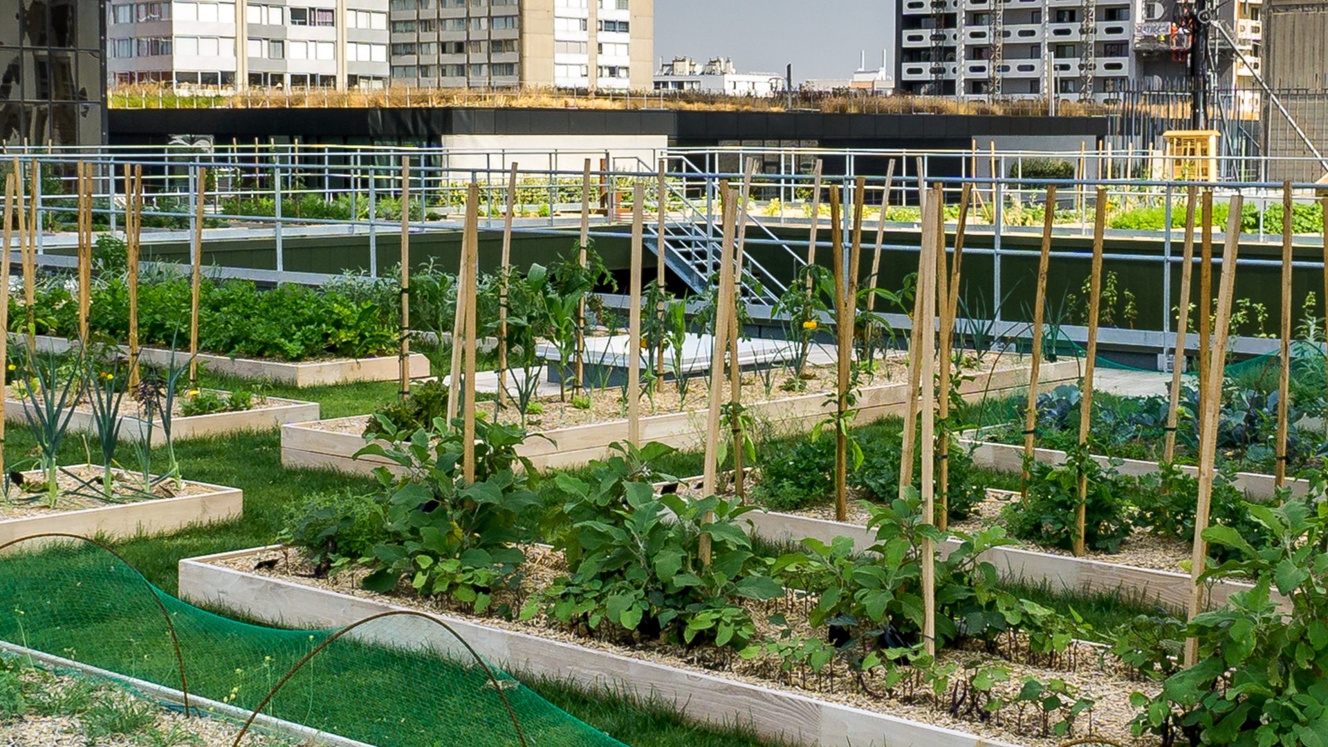 Comment faire un jardin potager en ville ? - Côté Maison