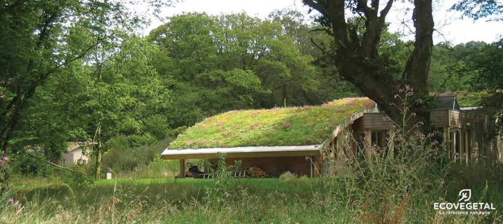 Toiture pente toit végétalisé technique ECOVEGETAL