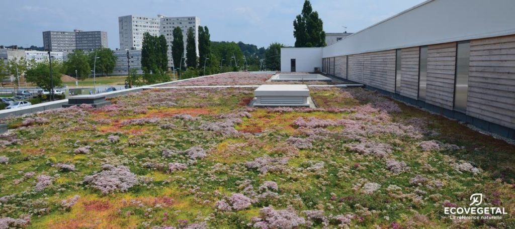 Toiture végétalisée technique ECOVEGETAL