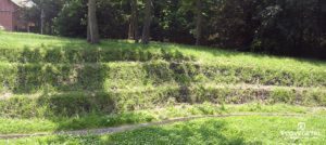 Un talus dans son jardin.