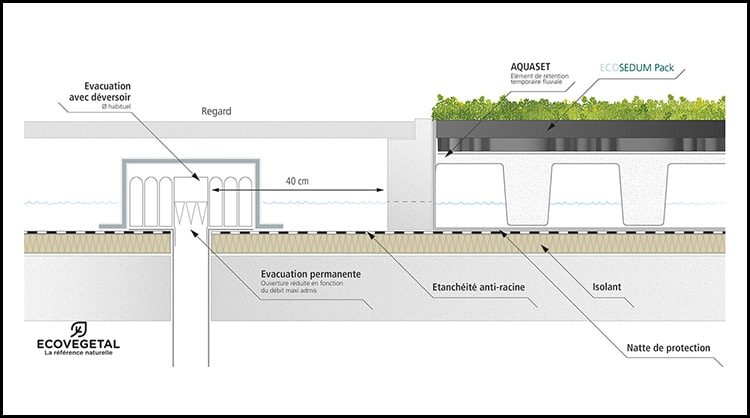 ecosedum_pack_en_association_avec_la_retention_deau_pluviale_070916093548-3