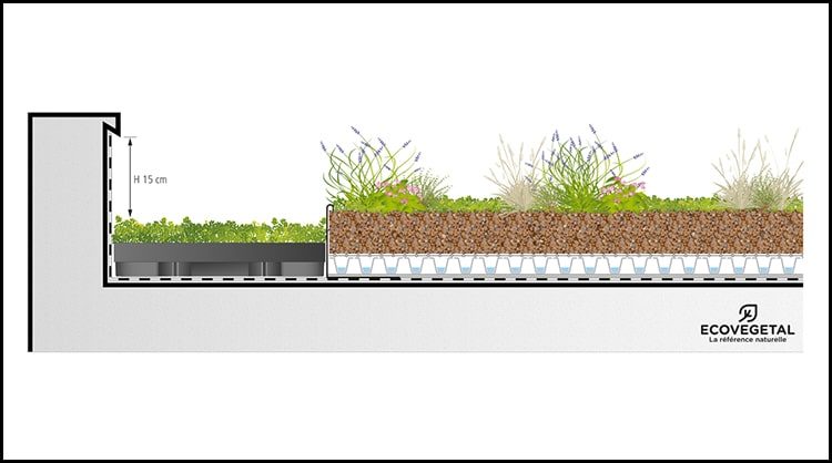 ecosedum_pack_pour_la_vegetalisation_des_zones_steriles_070916093548-1