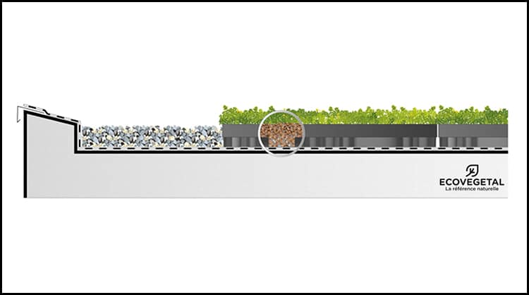 le produit ecosedum pack végétalisation et rétention d'eau en toiture