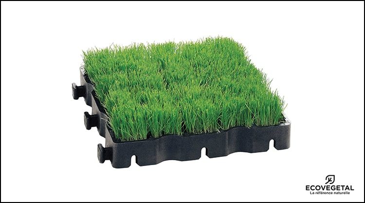 ecovegetal_green___solution_pour_realiser_votre_voie_pompier_pouvant_se_confondre_avec_un_espace_vert_engazonne._utilisation_de_la_dalle_ecoraster__e50_ou_ege50._230616170658-0 ecovegetal_green___solution_pour_realiser_votre_voie_pompier_pouvant_se_confondre_avec_un_espace_vert_engazonne._utilisation_de_la_dalle_ecoraster__e50_ou_ege50._230616170658-0