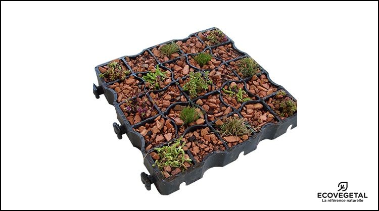 ecovegetal_mousses___solution_pour_realiser_votre_voie_pompier_vegetale_supportant_un_usage_intensif_tout_au_long_de_l_annee_et_un_entretien_faible._utilisation_de_la_dalle_ecoraster_e ecovegetal_mousses___solution_pour_realiser_votre_voie_pompier_vegetale_supportant_un_usage_intensif_tout_au_long_de_l_annee_et_un_entretien_faible._utilisation_de_la_dalle_ecoraster_e