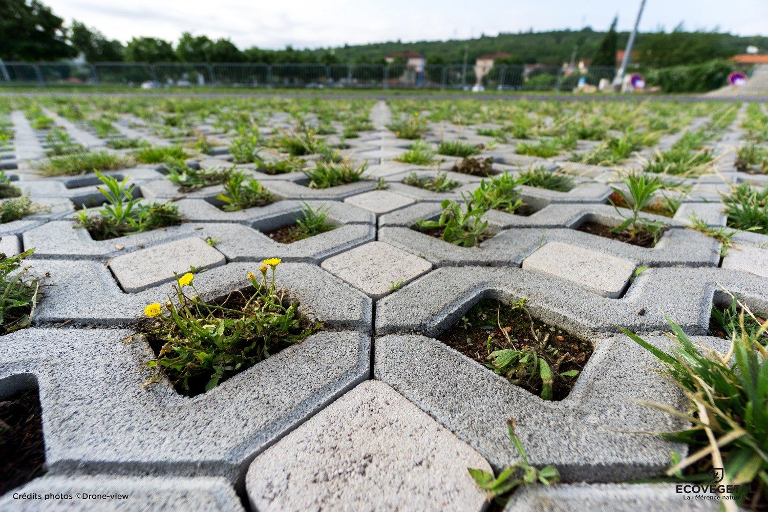 dalle alvéolée béton pour parking