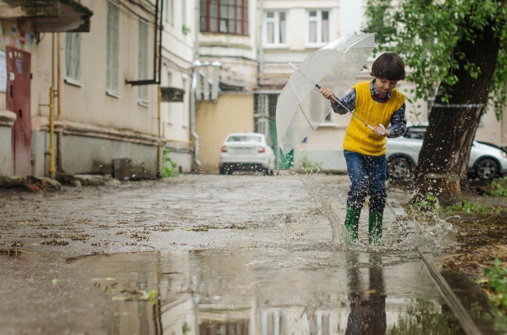 gestion des eaux pluviales à la parcelle : voici pourquoi