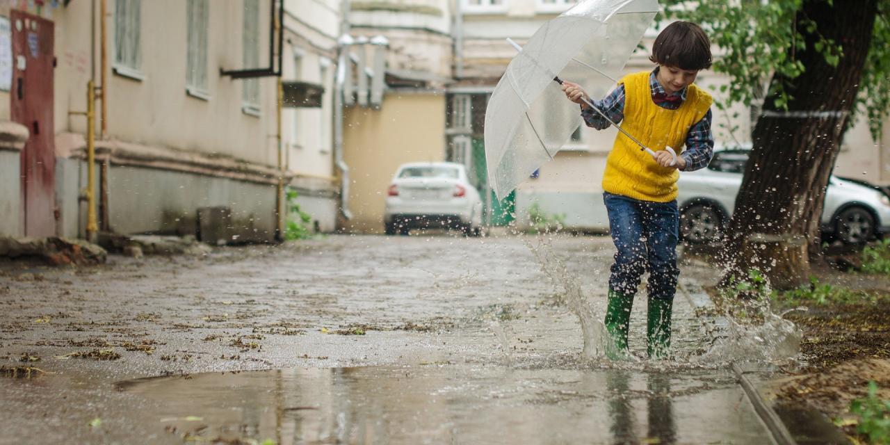 gestion des eaux pluviales à la parcelle : voici pourquoi