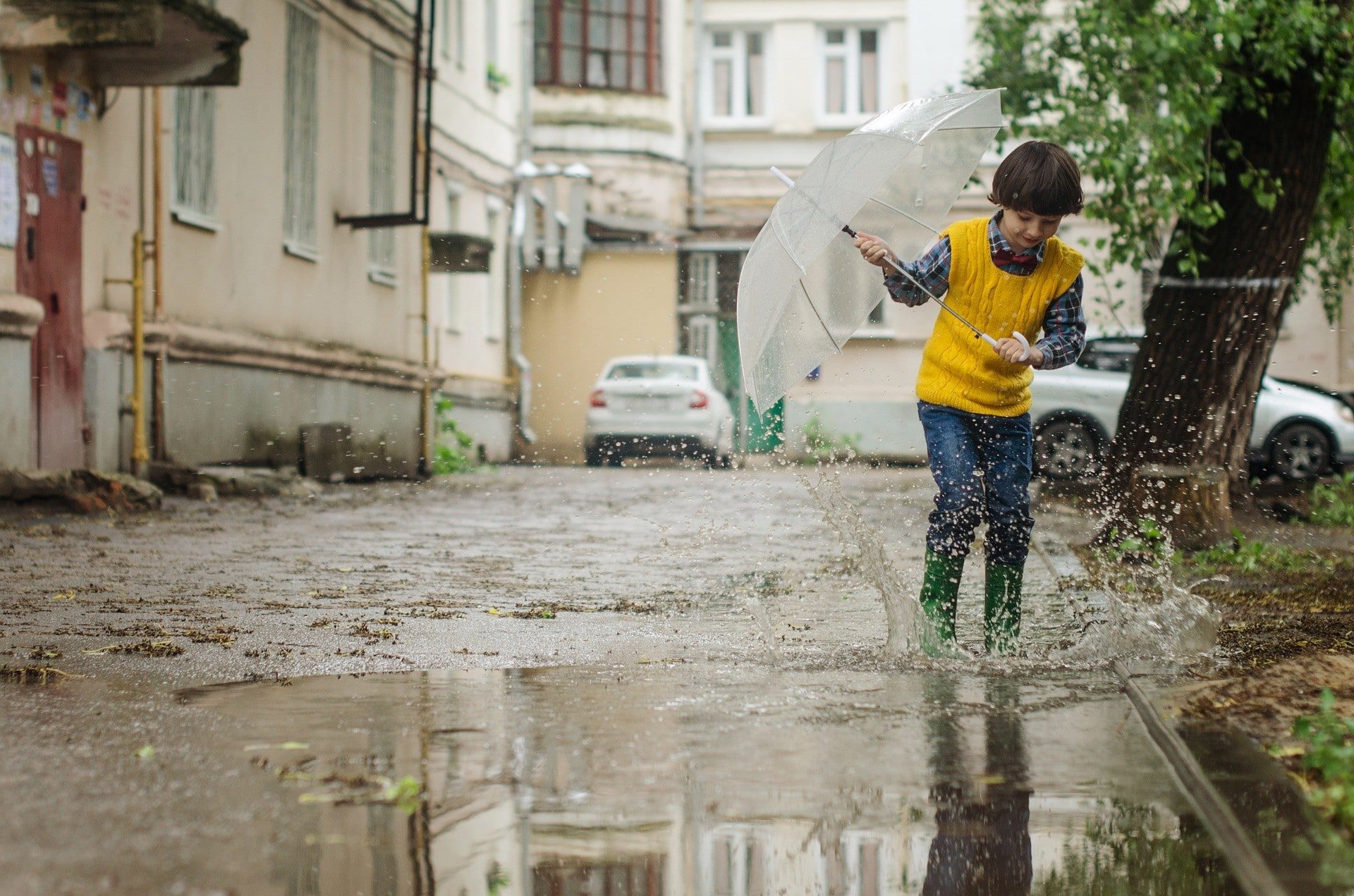 gestion des eaux pluviales à la parcelle : voici pourquoi