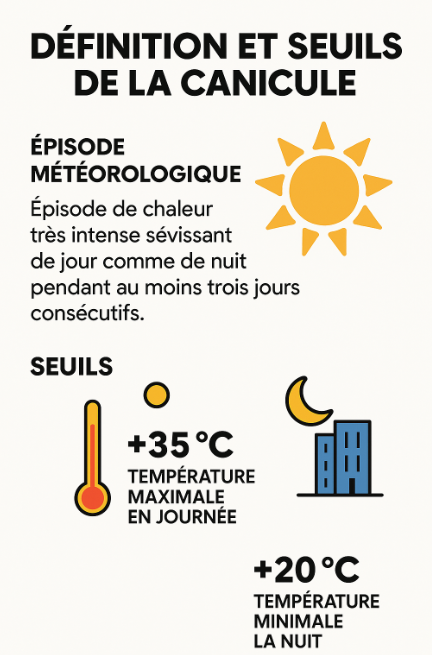 Définition de la canicule : seuils officiels