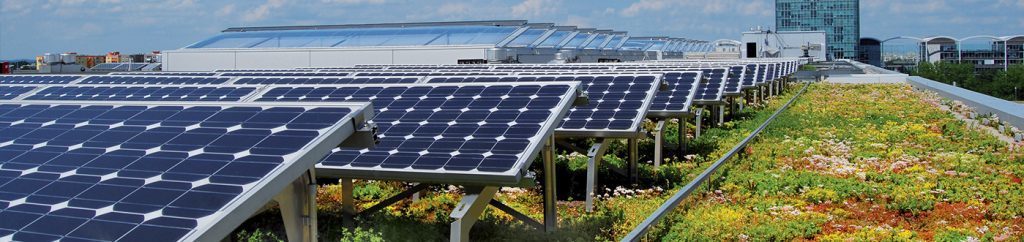 Panneaux photovoltaïques toiture végétale