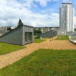 zone stérile (gravillon) sur une toiture végétalisée