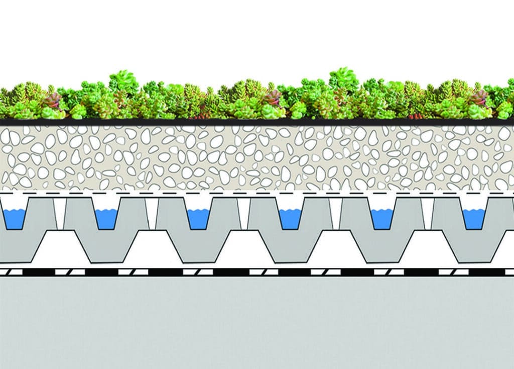 coupe toiture terrasse végétalisée 1 succulis fs40 (tapis de sedum)