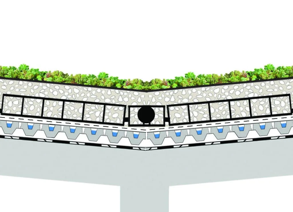 Coupe toiture végétalisée en pente