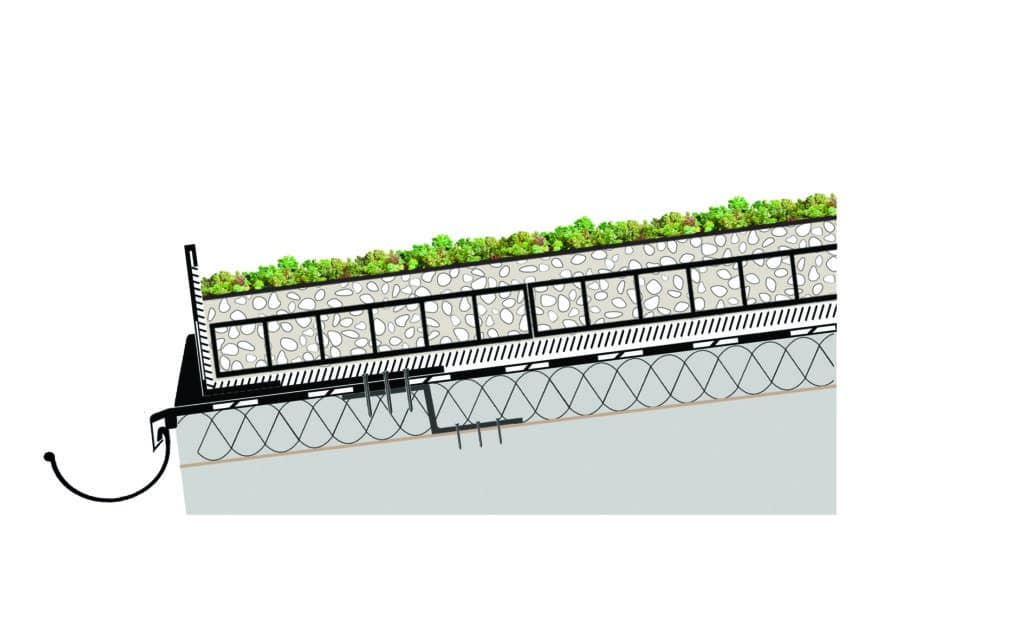 Coupe de toiture végétalisée en pente 20-45%