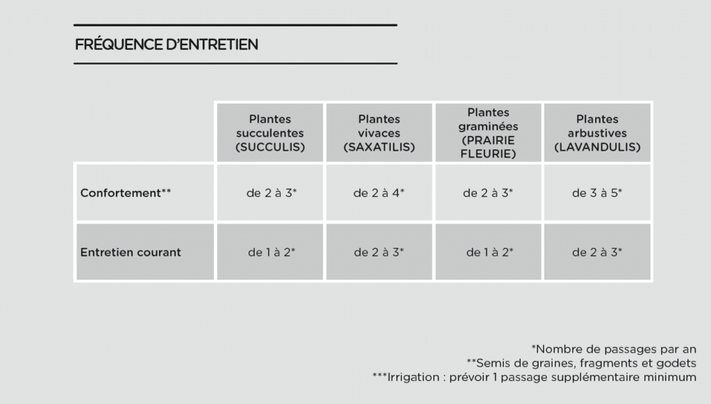 Fréquence d'entretien toiture végétalisée