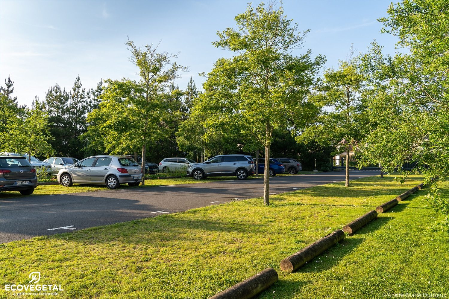 Parking végétalisé Pierre et Vacances COURSEULLES SUR MER