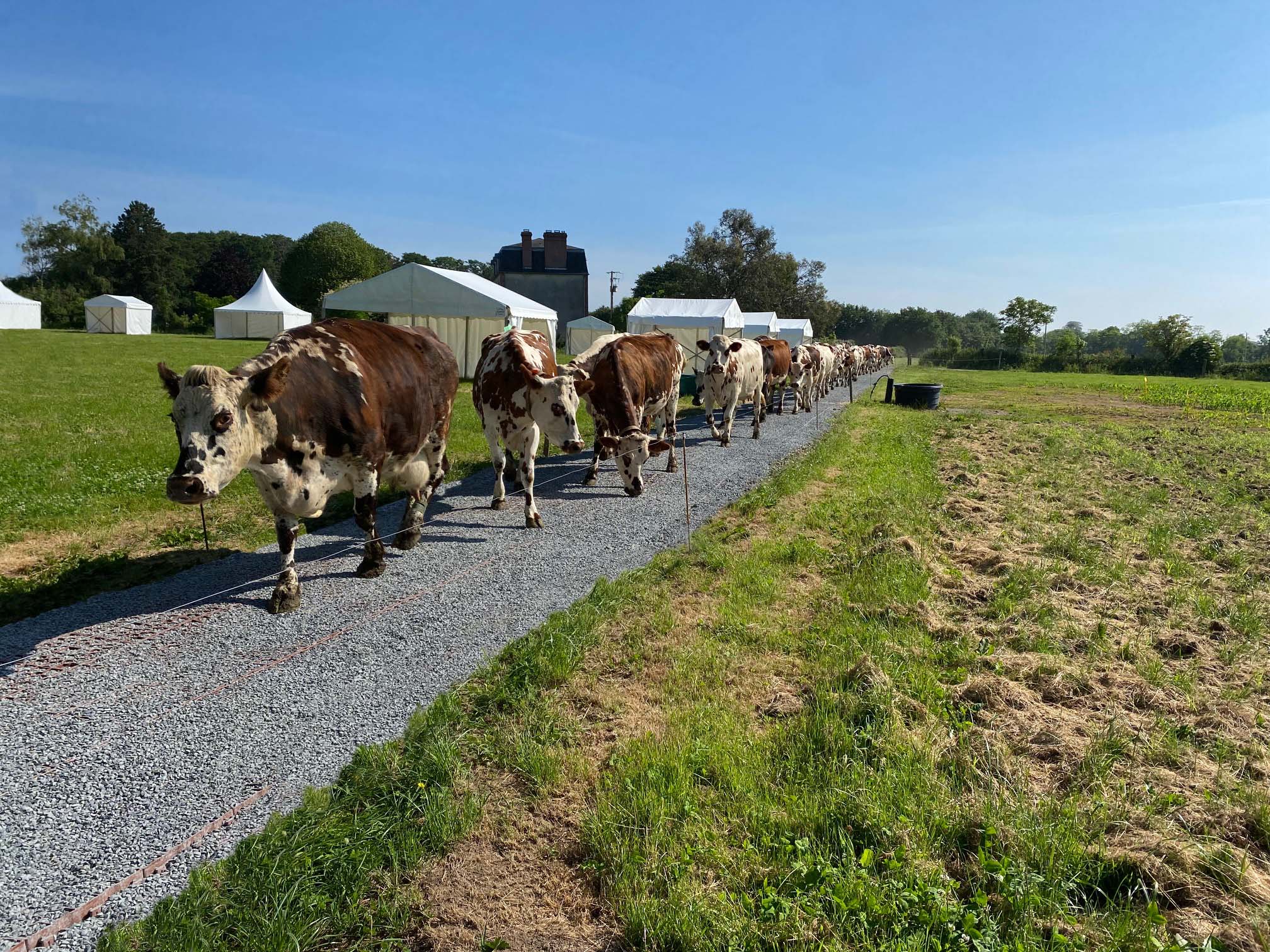 stabilisation chemin agricole