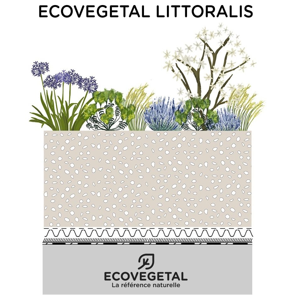 Végétalisation de type littoral pour jardin en toiture