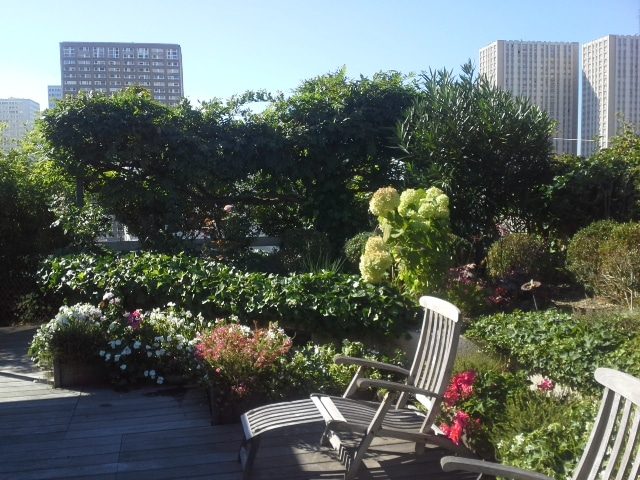 Jardin en toiture terrasse ECOVEGETAL