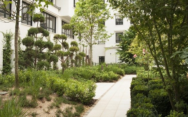 Jardin toiture terrasse espace vert attractif