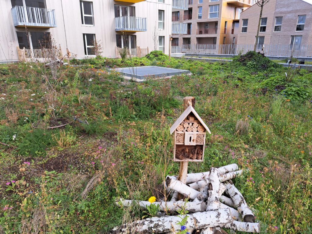 coefficient de biotope : y contribuer avec un hôtel à insectes