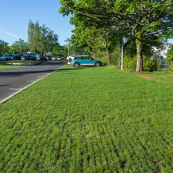 parking végétalisé engazonné