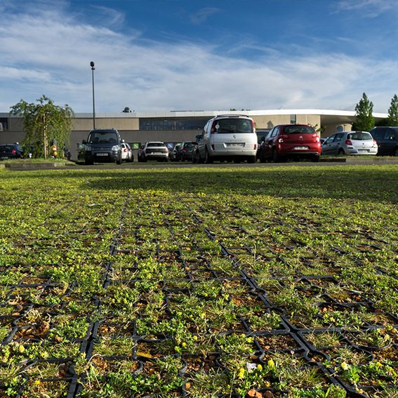 parking végétalisé avec ECOVEGETAL MOUSSES