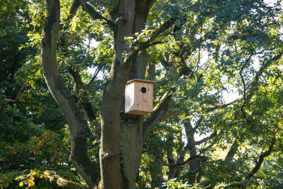 Coefficient de biotope en ville comment le calculer