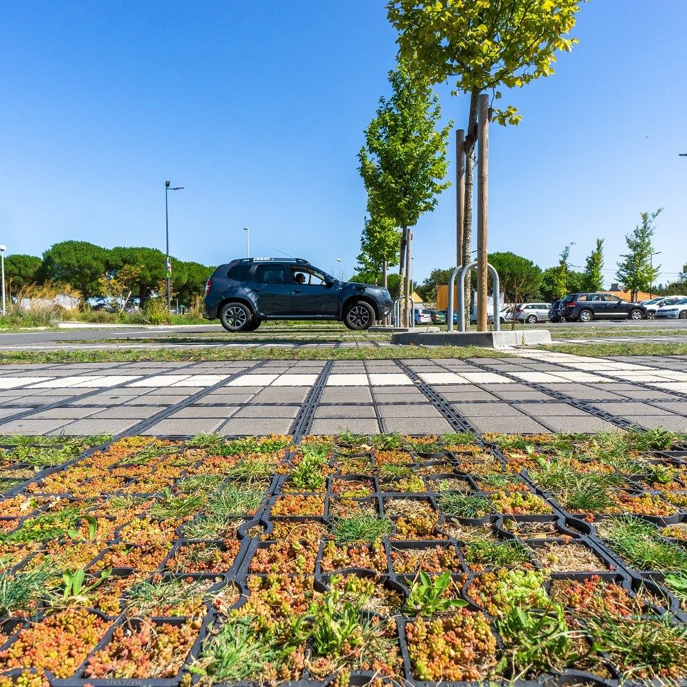 parking mixte : pavé et végétalisé