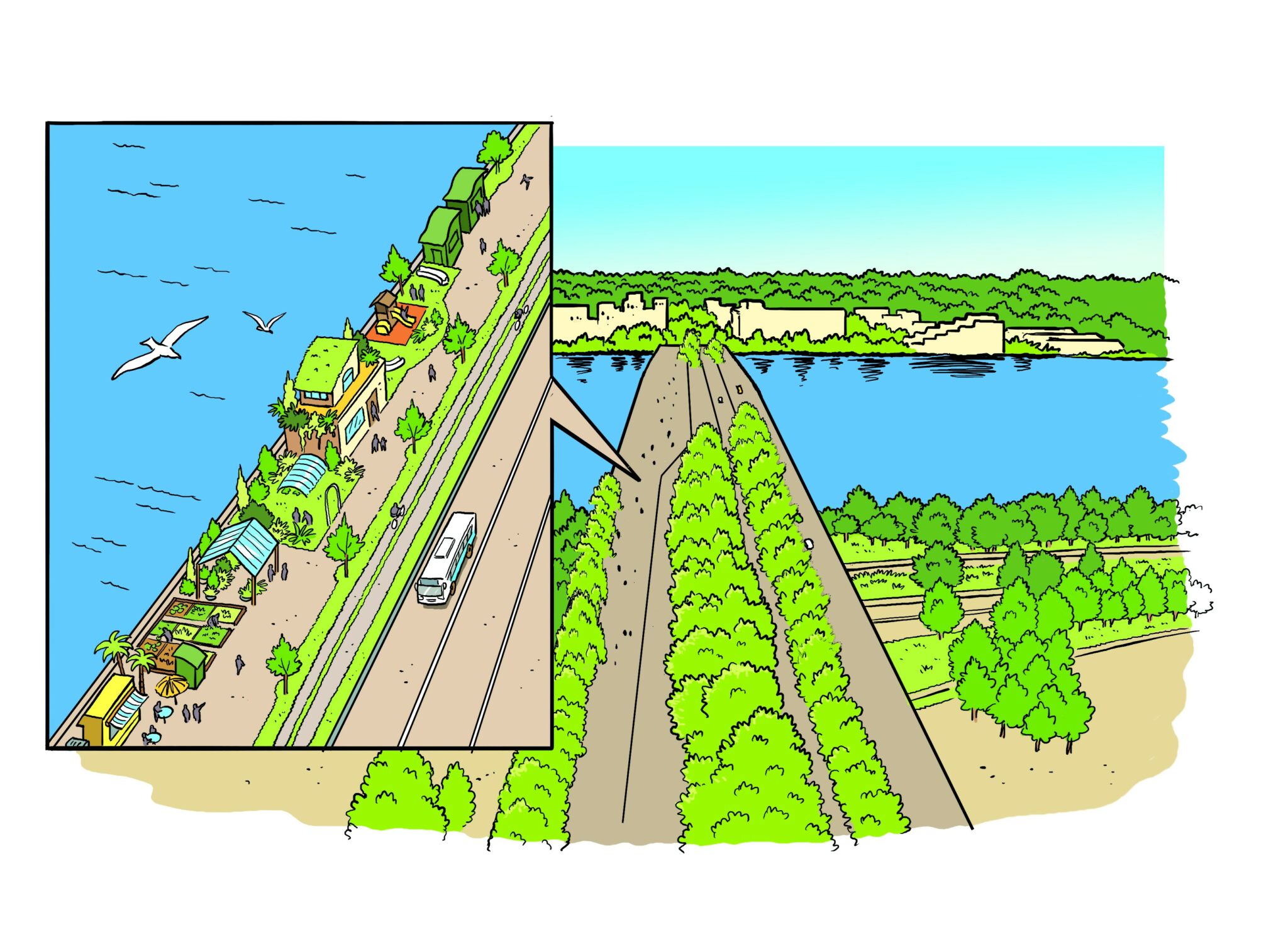 Réglementation sur l'Évacuation des Eaux Pluviales - Ecovegetal