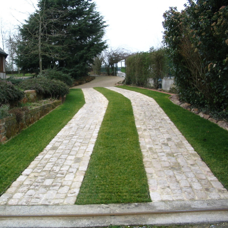 chemin stabilisé avec ECOVEGETAL GREEN