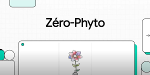 zéro-phyto définition