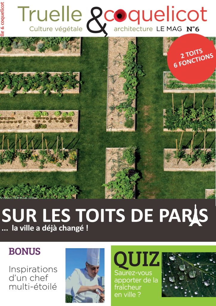 Truelle & Coquelicot N° 6