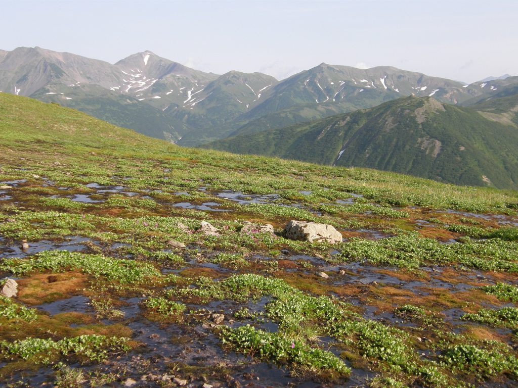 Paysage de Toundra - froid et venté l'hiver, chaud l'été.