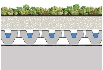 couche drainante pour tapis précultivé (toiture terrasse végétale) : coupe de principe