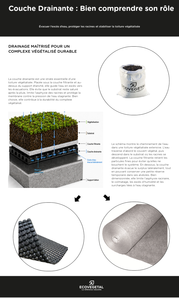 infographie : bien comprendre son rôle. Explication avec un schéma de principe (circulation de l'eau) et les composants adaptés Ecovegetal (filtre S-TEX et drain DK20B).