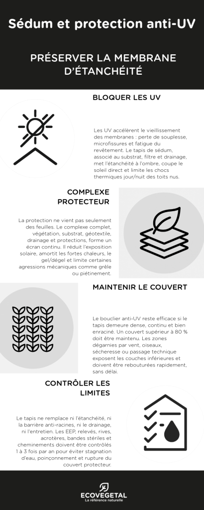 sedum et protection anti-uv (infographie). 
Comment le tapis de sedum, associé au substrat est un formidable moyen de protéger l'étanchéité du toit des rayonnements UV.