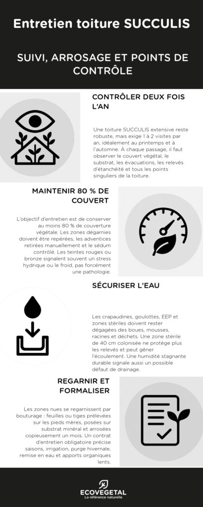 Entretien d'une toiture Succulis : suivi, arrosage, points de contrôle (infographie)